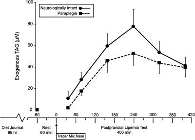 Effect of Paraplegia on the Time Course of Exogenous Fatty Acid Incorporation Into the Plasma Triacylglycerol Pool in the Postprandial State